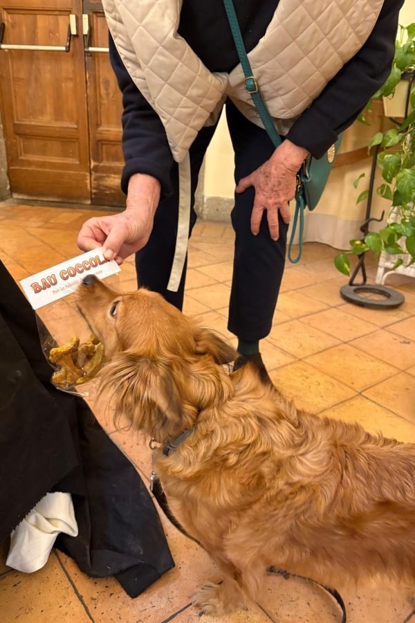 Biscotti_cani_2025-12-15-11