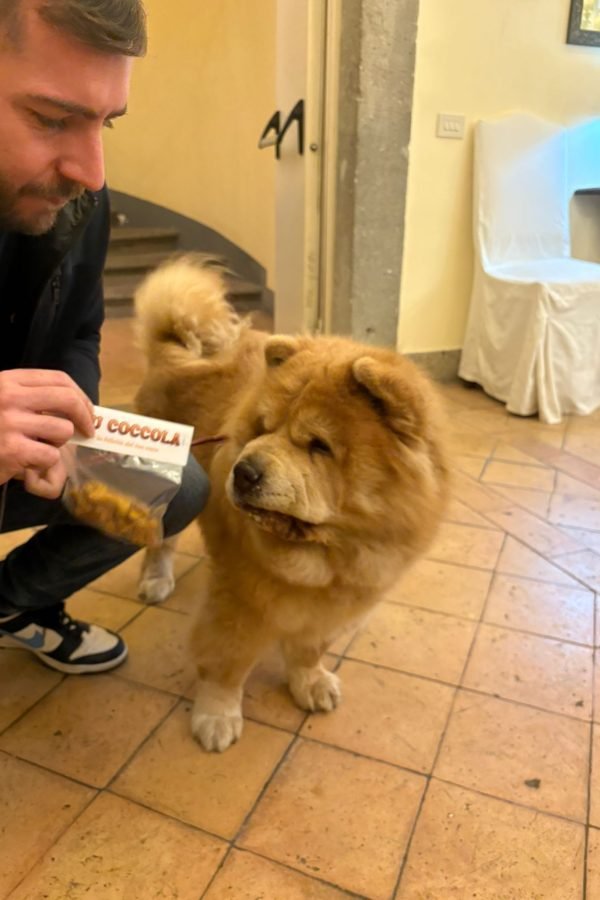 Biscotti_cani_2025-12-15-17