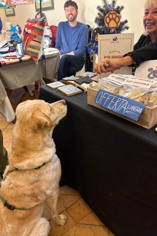 Biscotti_cani_2025-12-15-18