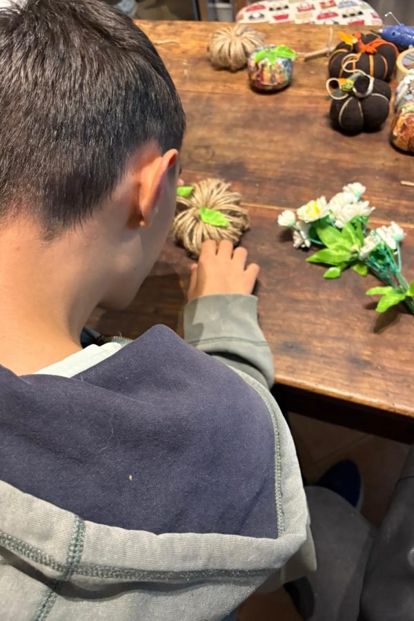 Elaborazione delle zucche